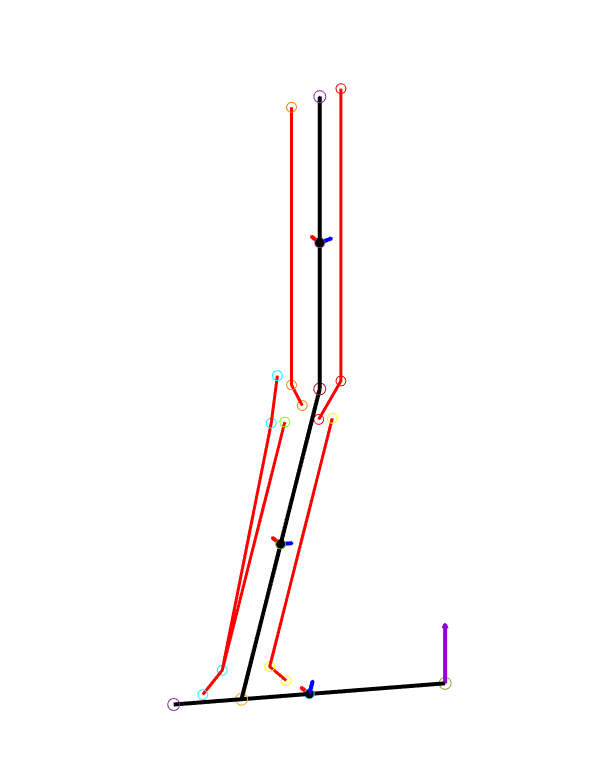 Validation of Skeletal Muscle Models image